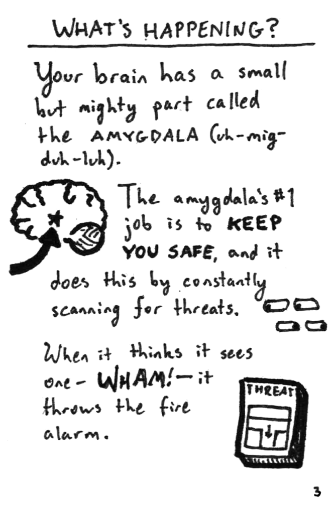 Page 3 of the zine, describing the role of the amygdala.