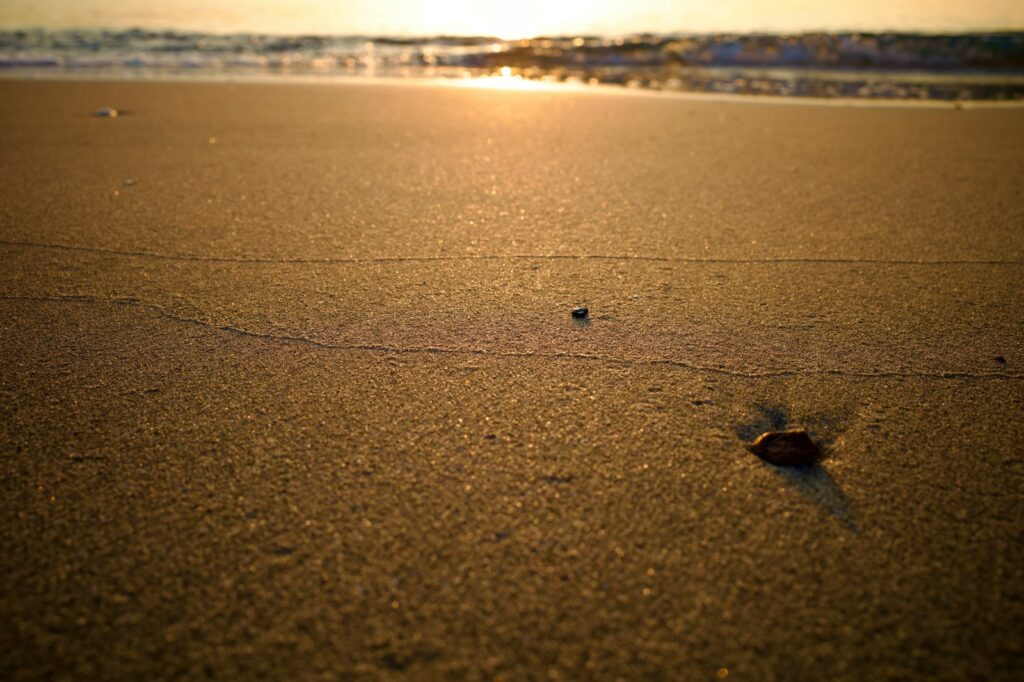 Closeup photo of beach at sunset, with sand and waves