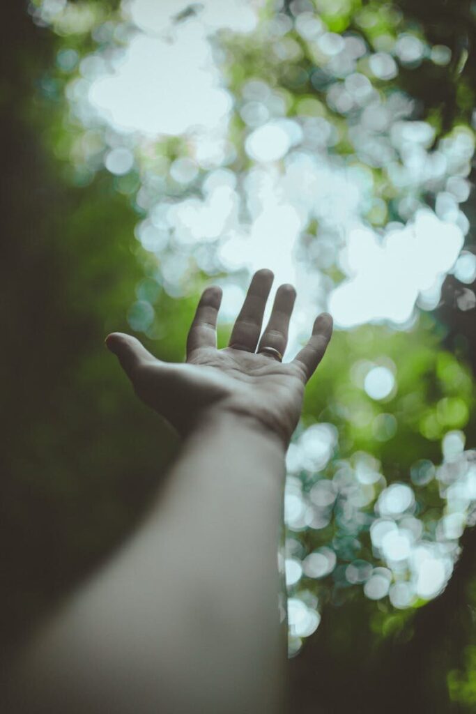A hand reaching towards the blurred sunlight through the forest canopy.